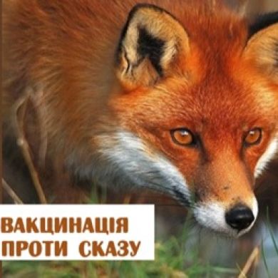 Увага!!! На Золочівщині імунізуватимуть диких тварин проти сказу