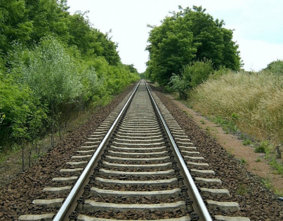  лісозахисних смуг залізничної колії на сайт