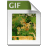 gif.png — 1.50 kB
